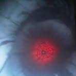 Profile Picture of Eva Baten (@Eva-Baten) on Facebook