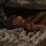 Profile Picture of Paula Tyminski (@paulatyminski) on Instagram