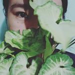 Profile Picture of Rosas sa digma 🌹 (@chibomato) on Instagram