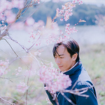 Profile Picture of Lưu Khúc (@lưu khúc) on Flickr