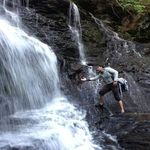 Profile Picture of Wallace Clark IV (@wallaceclarkiv) on Instagram