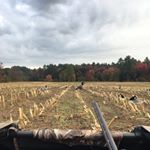 Profile Picture of Jacob Carignan (@cool_fieldandpond_pics) on Instagram