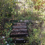 Profile Picture of Robert Behrens (@ristfotos) on Flickr