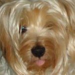 Profile Picture of Shelly Burns (@sburns62) on Instagram