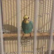 Profile Picture of Joe Kelleher (@JoeKelleher12) on Twitter