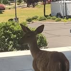 Sean Keller - Facebook Profile Picture of Sean Keller (@Sean-Keller) on Facebook