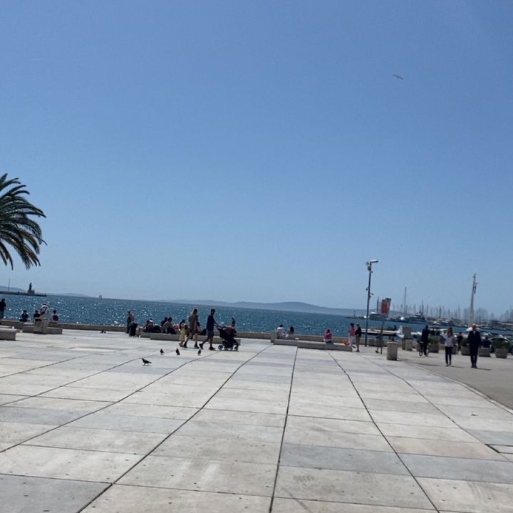 Profile Picture of Martin Hendrick (@martin.hendrick) on Tiktok