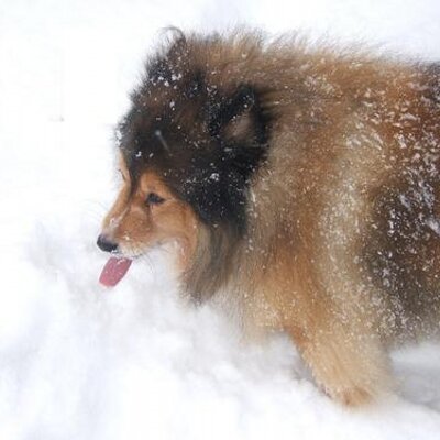 Profile Picture of Jessie H. (@ZakGeorgeCrazy3) on Twitter