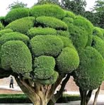 Profile Picture of Belete Ynager (@belete.ynager) on Facebook