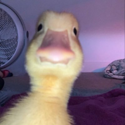 Profile Picture of Jade Fournier (@jadefournier20) on Twitter