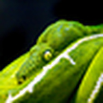 Profile Picture of Malcolm  Smith (@malcolmsmith39) on Flickr