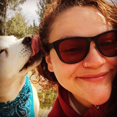 How Dixie Sees It - Twitter Profile Picture of How Dixie Sees It (@Dixie_N) on Twitter