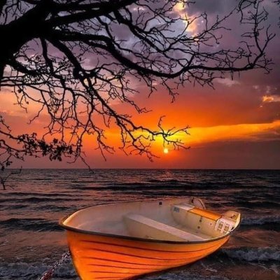 Profile Picture of Mohammad Abughoush (@mbag1973) on Twitter