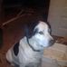 Profile Picture of Phil Witkowski (@Phil-Witkowski) on Facebook