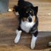 Profile Picture of Barbara Klug (@barbara.klug.31) on Facebook