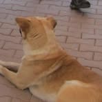 Harold Thorton - Facebook Profile Picture of Harold Thorton (@Harold-Thorton) on Facebook