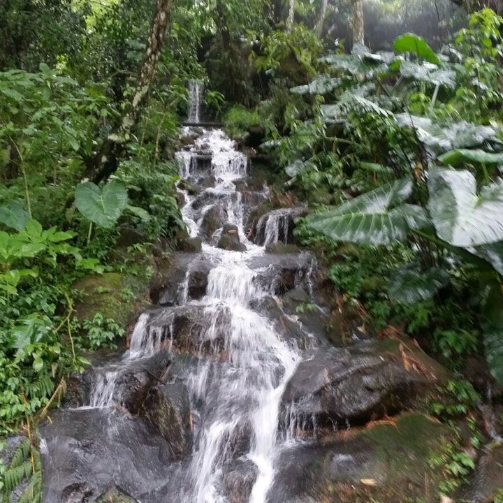 Profile Picture of Shawna.Taylor (@shawnataylorbuiaqe) on Tiktok