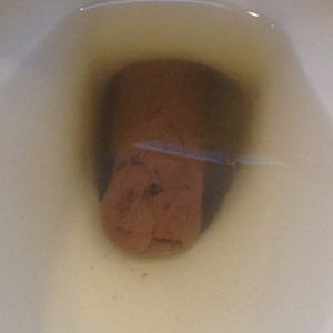 Profile Picture of Tim Rise (@poopy.penis) on Myspace