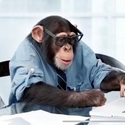 Profile Picture of SmartMonkey (@XavierCrespo20) on Twitter