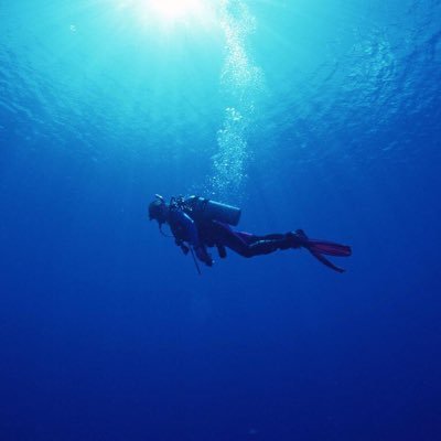 Profile Picture of Ben Bachelor (@benbachelor7) on Twitter