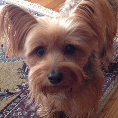 Profile Picture of JOANN VINCE (@JOANNVINCE) on Twitter