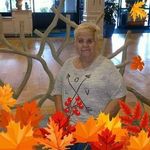 Profile Picture of Phyllis McSherry Beicht (@pbeicht) on Instagram