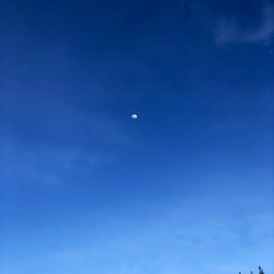 Camilo Zapata Wills - Twitter Profile Picture of Camilo Zapata Wills (@zapatacamilo) on Twitter