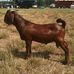 Profile Picture of James Dockery (@james.dockery.5) on Facebook
