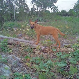 Profile Picture of Jorge Basto (@jorge.basto.35380) on Facebook