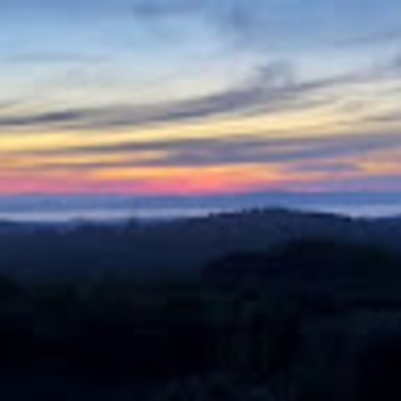 Profile Picture of Julia Wolff (@juliawolff726) on Poshmark