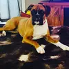 Profile Picture of Jessica Carlton (@@jessicacarlton03) on Tiktok