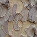 Profile Picture of Hilary Froehlich (@hilaryfroehlich) on Pinterest