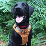 Profile Picture of Colin Knowles (@cafef_oahir) on Instagram
