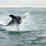 Profile Picture of Alaina Boyd (@alainaboyd) on Instagram