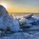 Profile Picture of Rosier (@rosierblakeley) on Instagram