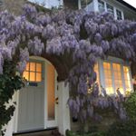 Profile Picture of Emily Rose (@roses_abode) on Instagram