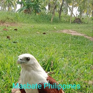 Profile Picture of Mark Zenen Dolleson (@markzenen.dolleson) on Facebook