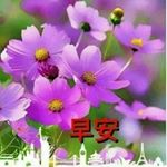 Profile Picture of Ivy Zheng (@iamivyzheng) on Instagram