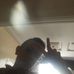 Profile Picture of Adam Guettabi (@Adam-Guettabi) on Facebook