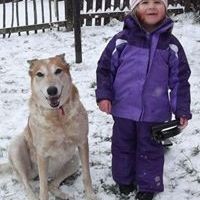 Profile Picture of David Creswell (@drumlinboy) on Pinterest