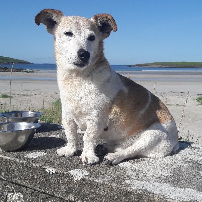 Profile Picture of Eamonn Farrell (@eamonnfarrell1) on Twitter