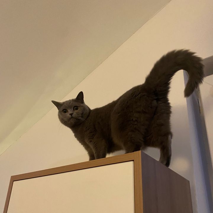 Profile Picture of philipkellermann (@sohajkokotenko) on Tiktok