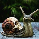 Profile Picture of Jeff McClung (@mcclung_jeff) on Instagram