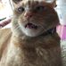Profile Picture of Oliver Miles (@oliver.miles.372) on Facebook