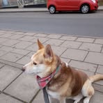 Profile Picture of Daniel Kelker (@Daniel-Kelker) on Facebook