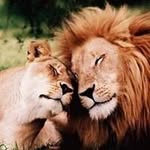 Profile Picture of Michael Keigans (@keigansmichael) on Instagram