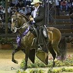 Profile Picture of luis fernando agudelo (@agudeloluisfernando) on Instagram