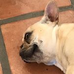 Profile Picture of Richard Uphoff (@richardfuphoff) on Instagram