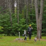 Profile Picture of Zachary Guberman (@z.guberman) on Instagram