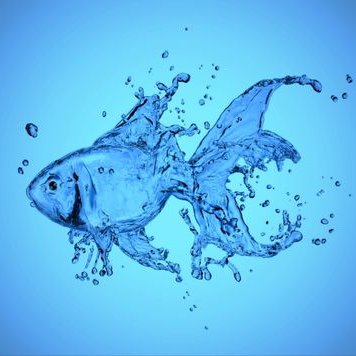 Joshua Tierney - Twitter Profile Picture of Joshua Tierney (@JoshuaTierney6) on Twitter